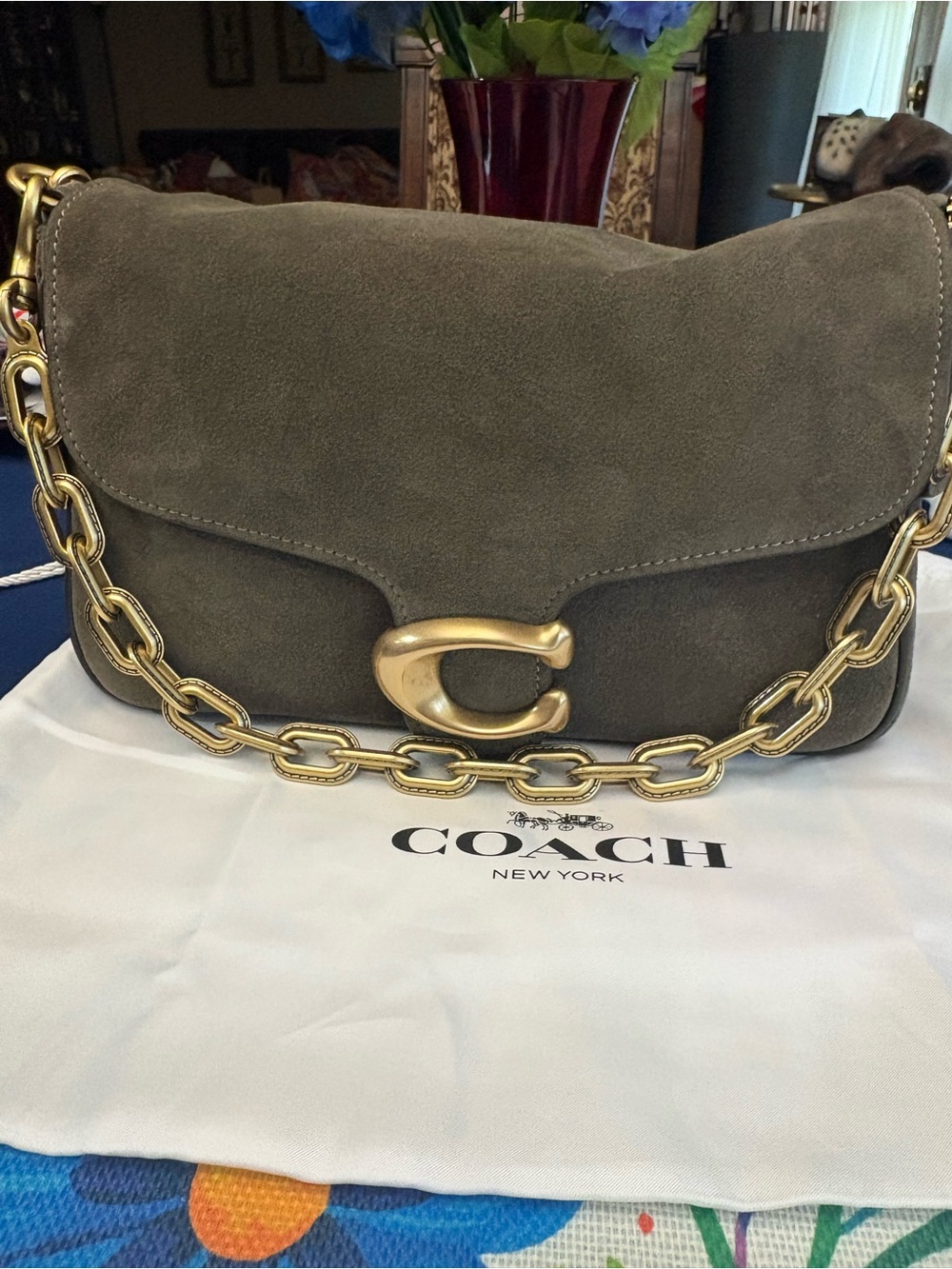Coach Soft Tabby in Olive Suede with Gold Chain